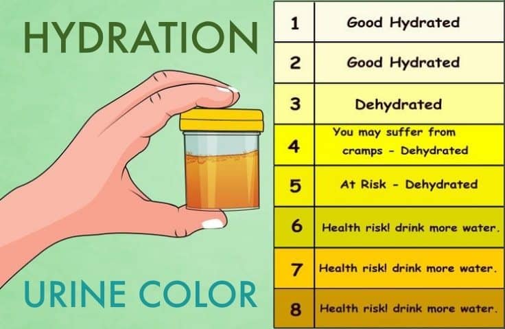 Your Urine Color Says a Lot About Hydration